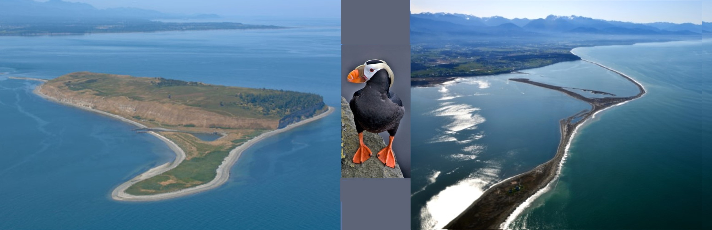 Aerial view of Protection Island and Dungeness National Wildlife Refuges